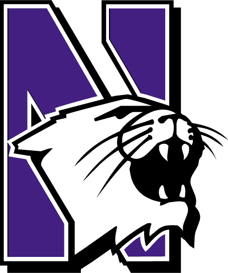 Northwestern Wildcats 1981-Pres Primary Logo iron on transfers for clothing